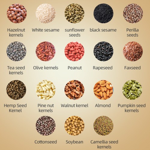 DIVEDEER X3C Constant Temperature Version Stainless Steel Oil Press Mechanical Switch Control Peanut Cooking Cold Hot Press Oil