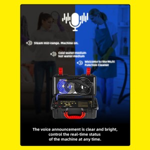 DIVEDEER High-pressure Steam Cleaner Handheld Disinfection Kitchen Air Conditioner Cover Car Cleaner 4-in-1, 5-in-1 